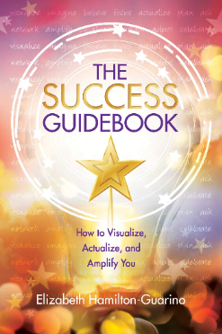 the-success-guideboo